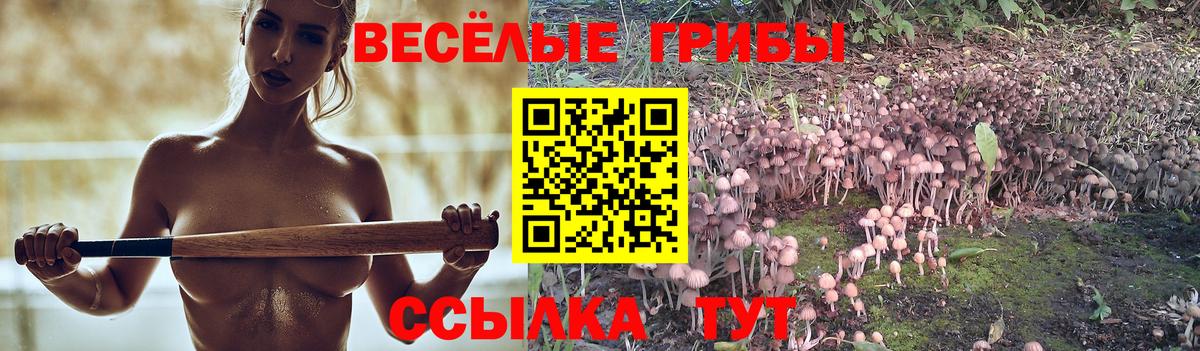 Псилоцибиновые грибы MAGIC MUSHROOMS  Вход с VPN  Донецк  Псилоцибиновые грибы прущие грибы 